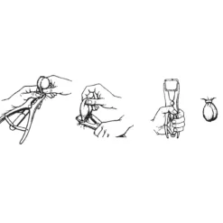 ANNEAU ELASTRATOR