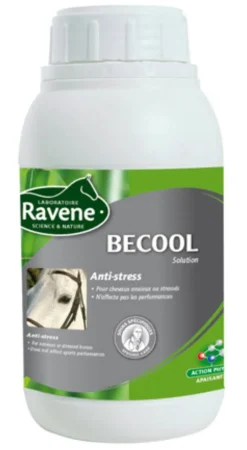 ANTI STRESS BECOOL 500ML