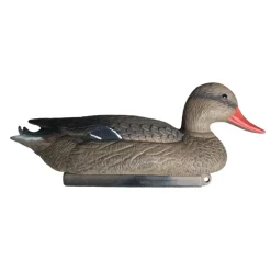 APPELANT COLVERT FEMELLE