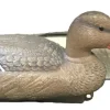 APPELANT COLVERT FEMELLE MOUSSE