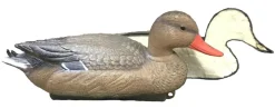 APPELANT COLVERT FEMELLE MOUSSE