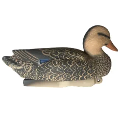 APPELANT COLVERT FEMELLE HD