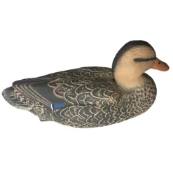 APPELANT COLVERT FEMELLE HD