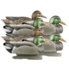 APPELANT COLVERT LIFE SIZE 4M+2F