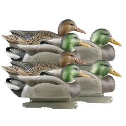 APPELANT COLVERT LIFE SIZE 4M+2F