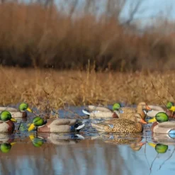 APPELANT COLVERT LIFE SIZE 4M+2F
