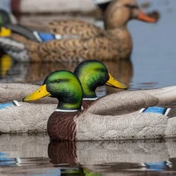 APPELANT COLVERT LIFE SIZE 4M+2F