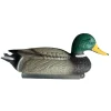 APPELANT COLVERT MÂLE