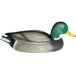 APPELANT COLVERT MÂLE