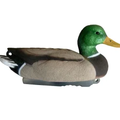 APPELANT COLVERT MÂLE HD