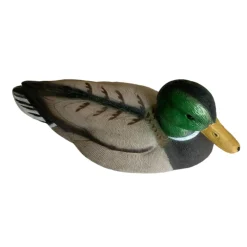APPELANT COLVERT MÂLE HD