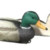 APPELANT COLVERT MÂLE MOUSSE