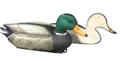 APPELANT COLVERT MÂLE MOUSSE