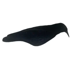 APPELANT CORBEAU COQUILLE FLOQUE