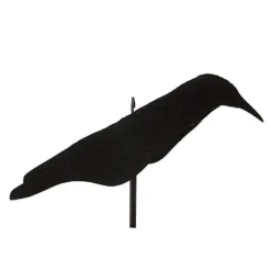 APPELANT CORBEAU COQUILLE FLOQUE