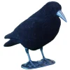 APPELANT CORBEAU FLOQUE