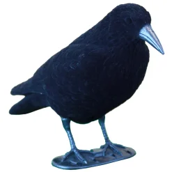 APPELANT CORBEAU FLOQUE