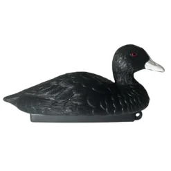 APPELANT FOULQUE