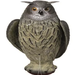 APPELANT GRAND DUC AILE BATTANTE