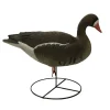 APPELANT OIE RIEUSE HD SUR PIED