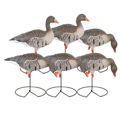 APPELANT OIE RIEUSE PG SUR PIED X 6
