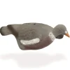 APPELANT PIGEON COQUILLE