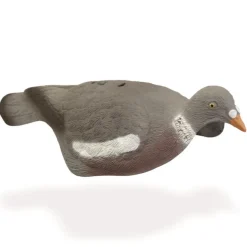 APPELANT PIGEON COQUILLE