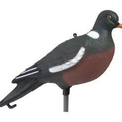 APPELANT PIGEON HD SANS PATTES