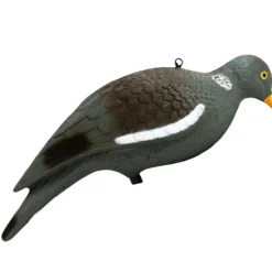 APPELANT PIGEON PICORANT