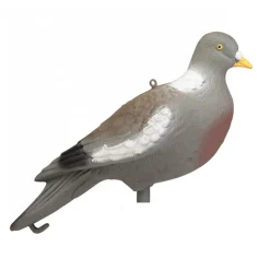 APPELANT PIGEON SANS PATTES