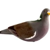 APPELANT PIGEON ULTRA HD