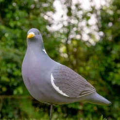 APPELANT PIGEON ULTRA HD