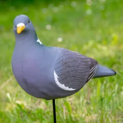 APPELANT PIGEON ULTRA HD