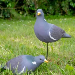 APPELANT PIGEON ULTRA HD