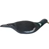 APPELANT PIGEON ULTRA HD COQUILLE