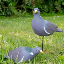 APPELANT PIGEON ULTRA HD PICORANT