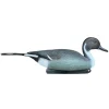 APPELANT PILET MALE