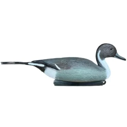 APPELANT PILET MALE