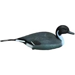 APPELANT PILET MALE