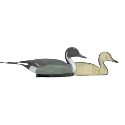 APPELANT PILET MALE MOUSSE