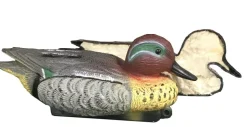 APPELANT SARCELLE MALE MOUSSE