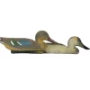 APPELANT SOUCHET FEMELLE MOUSSE