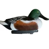 APPELANT SOUCHET MALE HD
