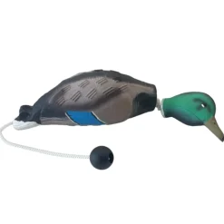 APPORTABLE CANARD COLVERT