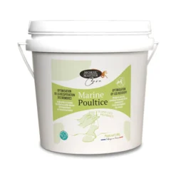 ARGILE MARINE POULTICE 1.KG