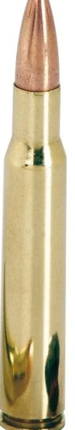 BALLES 30-06 POWERMAX BD 180GR