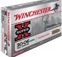 BALLES 30-06 PP 180GR