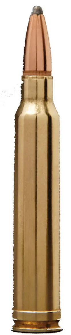 BALLES 30-06 PP 180GR