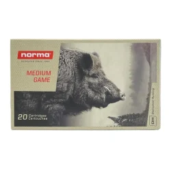 BALLES 30-06 PPDC 11.7G