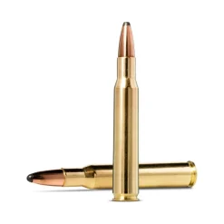 BALLES 30-06 WHITETAIL 180GR